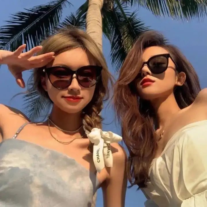 蒂科与鲨鱼